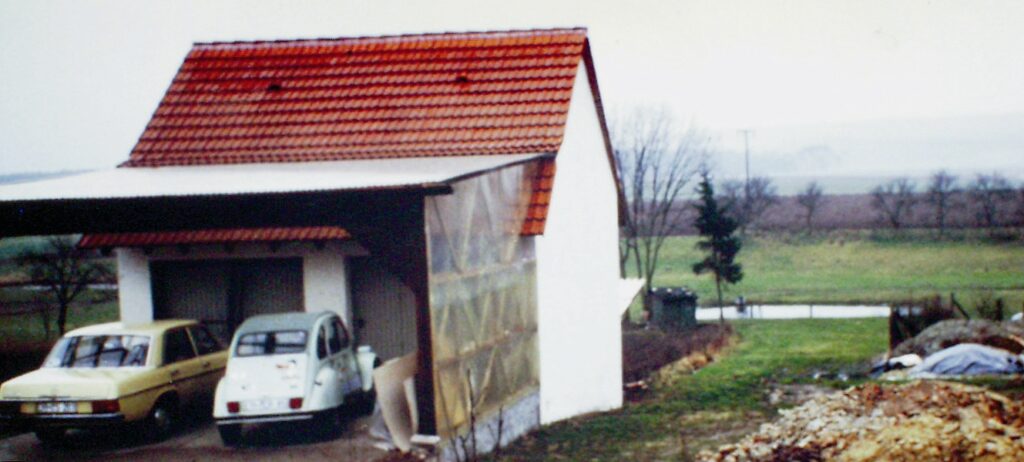 1981-1990