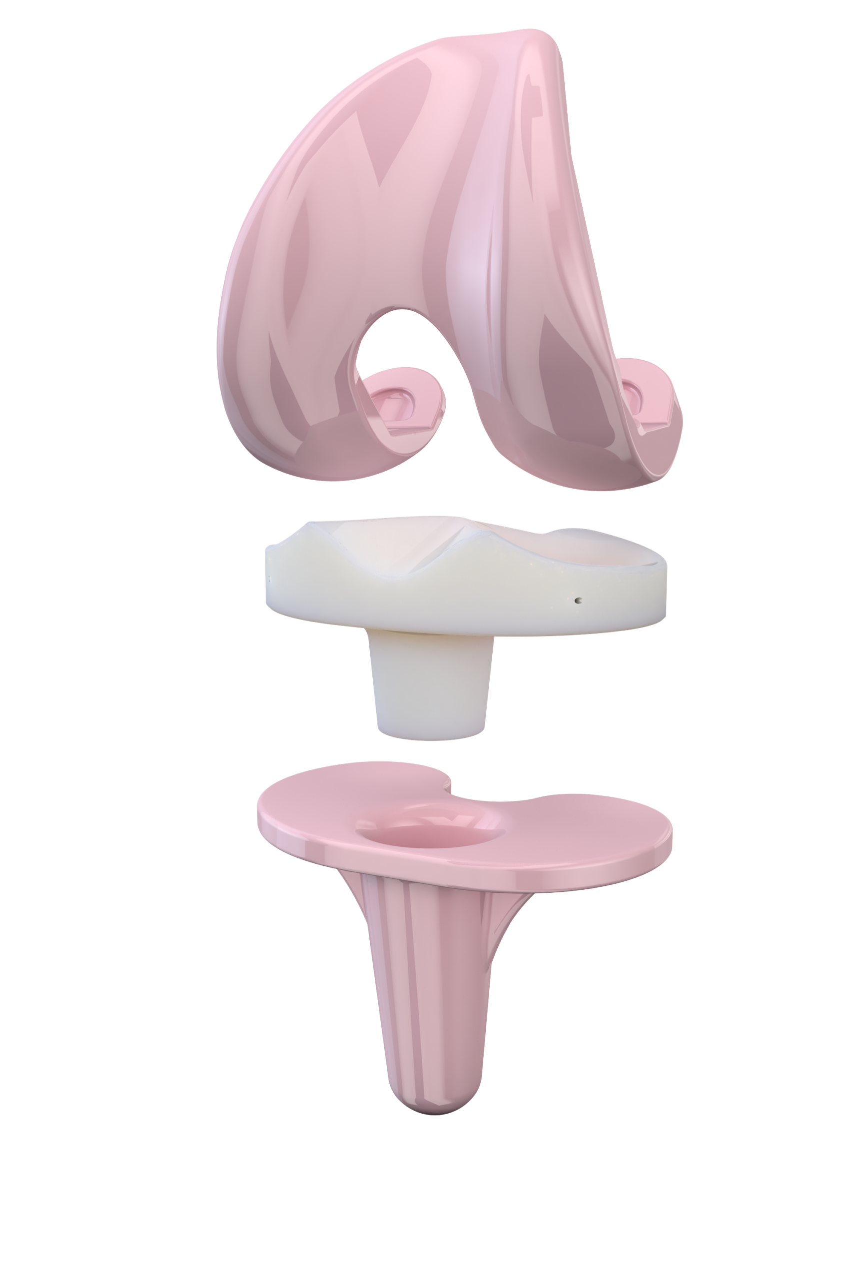 Femur- und Tibiakomponente BPK-S Integration Ceramic, rosafarbene Keramikmodelle