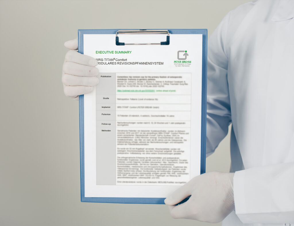Executive Summary_Vorschau Muster Formular Executive Summary